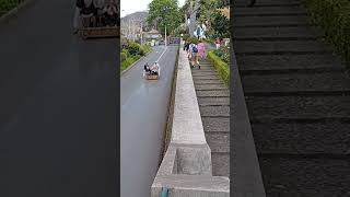 Exciting Wicker Basket Toboggan Ride in Madeira madeira funride [upl. by Regine522]