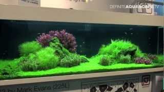 Aquascaping  Tropica planted aquariums at InterZoo 2012 [upl. by Haisoj543]