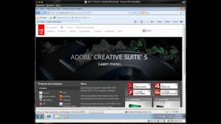 How To Update or Install Adobe Flash  Windows 7 [upl. by Ahsinrad76]