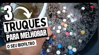 3 Dicas para melhorar BIOFILTRO biofiltro filtrobiológico [upl. by Schonfield403]