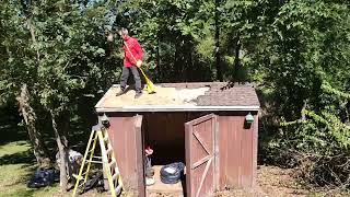 Roofing tearoff of our 8x12 shed at Woodhaven [upl. by Atnamas]