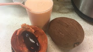 Batido de Mamey  Mamey Shake [upl. by Gerti]