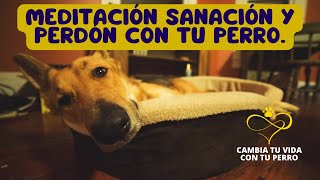 🌈 Meditación para Sanar el Alma con tu Perro  Conéctate con la Energía Positiva 🐾 [upl. by Randell]