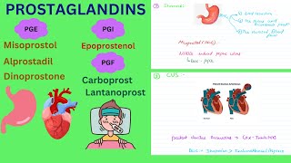 Prostaglandins Pharmacology Functions and Clinical uses prostaglandin drugs pharmacology [upl. by Ynar]