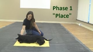 How to Train a Dog to Go to a quotPlacequot Mat K91com [upl. by Eittocs]