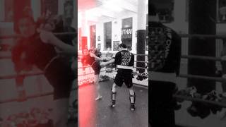 Tigar Cikatic brankocikatic shorts shortsfeed [upl. by Silvano]