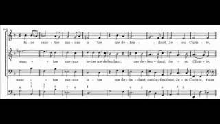 D Buxtehude  Membra Jesu Nostri  BuxWV 75  3 Ad manus [upl. by Auginahs]