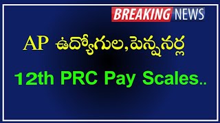 AP Government Employees and pensioners 12th PRC pay scales and benifits  Calculation of 12th PRC [upl. by Rhys]