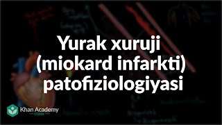 Yurak xuruji miokard infarkti patofiziologiyasi  Tibbiyot [upl. by Einiar164]