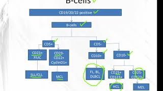 Applications of Flow Cytometry [upl. by Lukin]