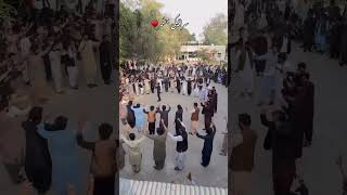 Siraiki Jhummer at Quaid e Azam University Islamabad qau culture music dance [upl. by Dyna]