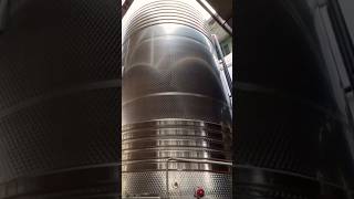 100 000 liters wine terracina italy tour winemaking winery grape italiancuisine [upl. by Idnarb]