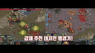 스타 명경기 결승 같은 16강을 향한 진심 펀치 버서커 vs 운영의 요술사 [upl. by Yliah1]