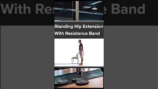 Standing Hip Abduction With Resistance Band rehub [upl. by Brunk316]