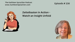 Zettelkasten in Action  Watch an Insight Unfold [upl. by Eiramlehcar]