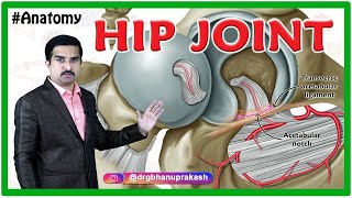 HIP Joint Anatomy Animation  Ligaments Movements Blood supply Nerve supply  USMLE Step 1 [upl. by Pacorro454]