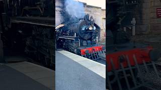 Christmas Polar Express Train polarexpress christmas steamtrain [upl. by Guthry]