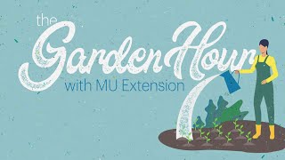 The Garden Hour with MU Extension – 4523 [upl. by Darci]