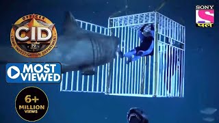 Daya Fights A Shark  CID  Most Viewed [upl. by Bedad751]