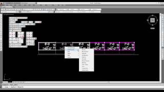 iScaf® Editing the properties of a Scaffold bay and bay Labeling [upl. by Shandeigh739]