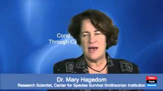 Coral Conservation through Cyropreservation  Dr Mary Hagedorn [upl. by Patrice936]