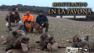 “MONTERIA LA PAVONA CON MONTERÍAS RIQUELME” En Abenojar  Ciudad Real [upl. by Adele]