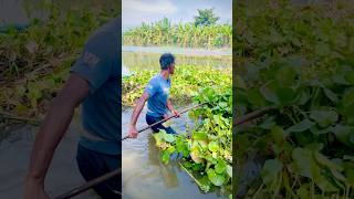 বাবা জলের মধ্যে কি করছে😮video minivlog shortvideo youtubeshorts shorts viralvideo [upl. by Ylrebmi]