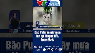 Bão Pulasan gây mưa lớn tại Thượng Hải Trung Quốc  VTVWDB [upl. by Mackey]