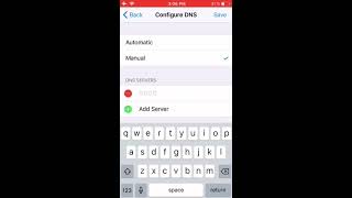 How To Manually Configure DNS on iPhone and iPad [upl. by Tarah]