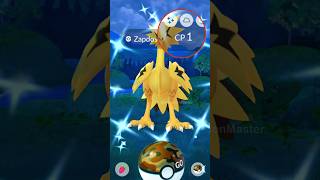 LETS GO ✨ SHINY GALARIAN ZAPDOS in Pokemon GO [upl. by Lynnea]