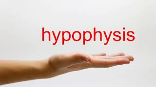 How to Pronounce hypophysis  American English [upl. by Roid]