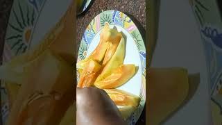 Raw papaya recipe 😋 youtubeshorts shorts shortvideo [upl. by Oiramd]