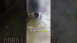 The Story of Harambe How a Gorillas Tragedy Sparked a Global Cultural Movement shortsfeed shorts [upl. by Earahs490]