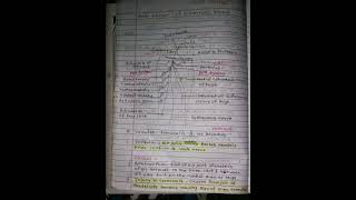 Femoral Nerve Anatomy notes First year Viral [upl. by Atimed]