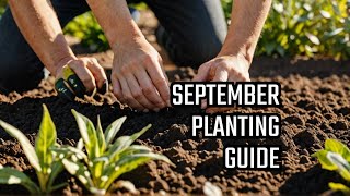 What to Plant in September Home Garden amp Indoor Tips [upl. by Brandi]