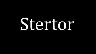 How to pronounce Stertor [upl. by Neille]