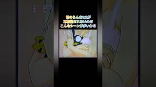 【らんま12】TVアニメ 再放送されない理由【懐かしい】懐かしい アニメ らんま RANMA [upl. by Korten]