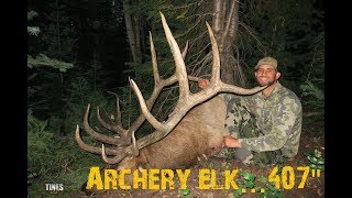 AMAZING Utah Archery Elk HuntSURRENDER407quot Giant [upl. by Tena]