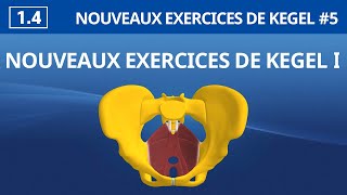 14 Nouveaux Exercices de Kegel Ⅰ  Exercices de Kegel faciles et efficaces [upl. by Orsola215]