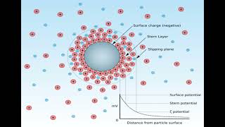 Lec 5 COLLOIDS  Electrical properties and Zeta potential شرح بالعربي [upl. by Valdas]