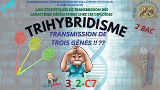 TRIHYBRIDISME  Comment le résoudre [upl. by Corie]