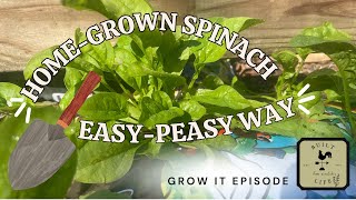 Grow It Episode  Easy To Grow Organic Spinach From Seed  GardeninaBag Method  Taming the Acres [upl. by Atnamas214]