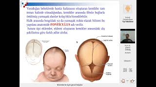 Eklemler Genel Bilgi Tıp Diş Anatomi İnsan Anatomisi TUS DUS SBF Soru çözümü Arasınav [upl. by Jamal]