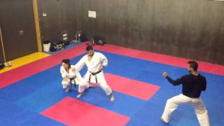 Heian Godan Bunkai 11 [upl. by Lynnett]