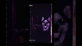 Smiledog  Creepypasta creepy horrorstories paranormal spooky horrorshorts [upl. by Alleram]