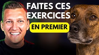 Comment Bien Démarrer Léducation Dun Chien ou Dun Chiot [upl. by Aneev]