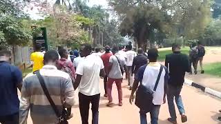 makerere university government students matching to the ministry of finance [upl. by Hebner748]