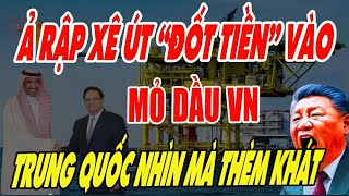 TRỮ LƯỢNG DẦU MỎ VIỆT NAM NHIỀU NHƯ THẾ NÀO VÌ SAO Ả RẬP XÊ ÚT ĐẦU TƯ MẠNH TAY [upl. by Marchal]