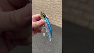 Don’t tell me you’ve never fished a YoZuri Mag Darter So good [upl. by Licko401]