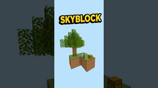 SKYBLOCK en PROBLEMAS [upl. by Dhiman]